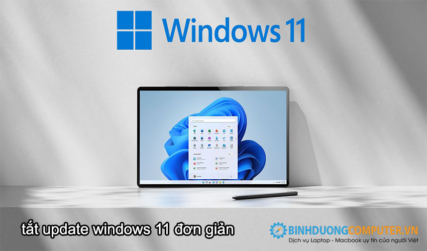 Hướng dẫn tắt update windows 11 đơn giản