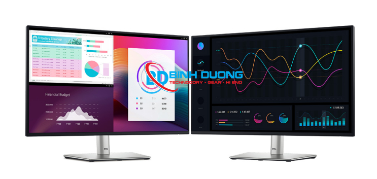 Dell P2725H (27.0 inch - IPS - FHD - 100Hz - 5ms - USB TypeC)