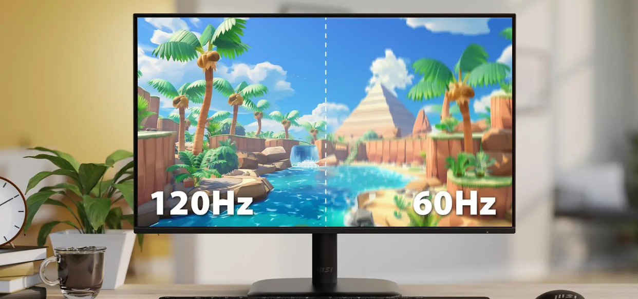 LCD MSI PRO MP251L E2