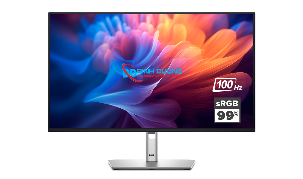 Dell P2725H (27.0 inch - IPS - FHD - 100Hz - 5ms - USB TypeC)