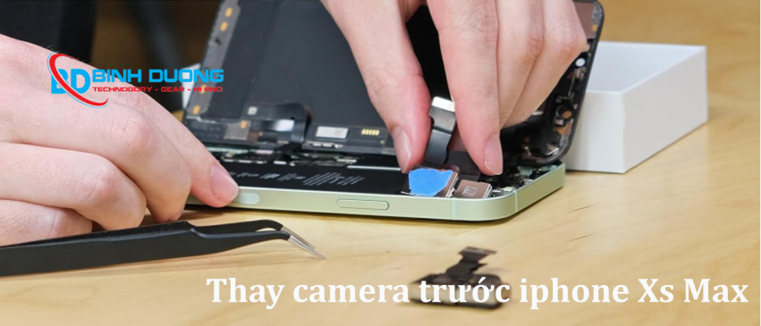 Quy trình dịch vụ chuyên nghiệp