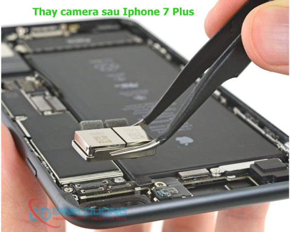 Quy trình thay camera sau iPhone 7 Plus