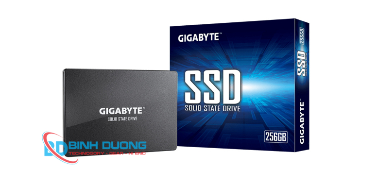 Ổ cứng: SSD 256GB SATA III