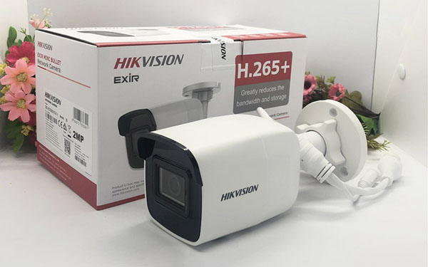 Camera IP 2MP Hikvision DS-2CD2021G1-I giá rẻ